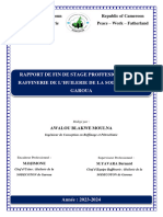 Rapport de Stage Professionnel Awalou b M_012735