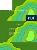 Briófitas e Pteridófitas