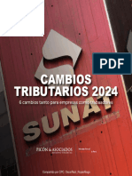 Cambios Tributarios 2024-Picón & Asociados