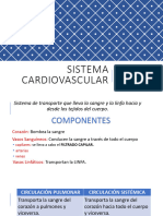 Capitulo 13 Sistema Cardiovascular