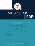 Tejido Muscular