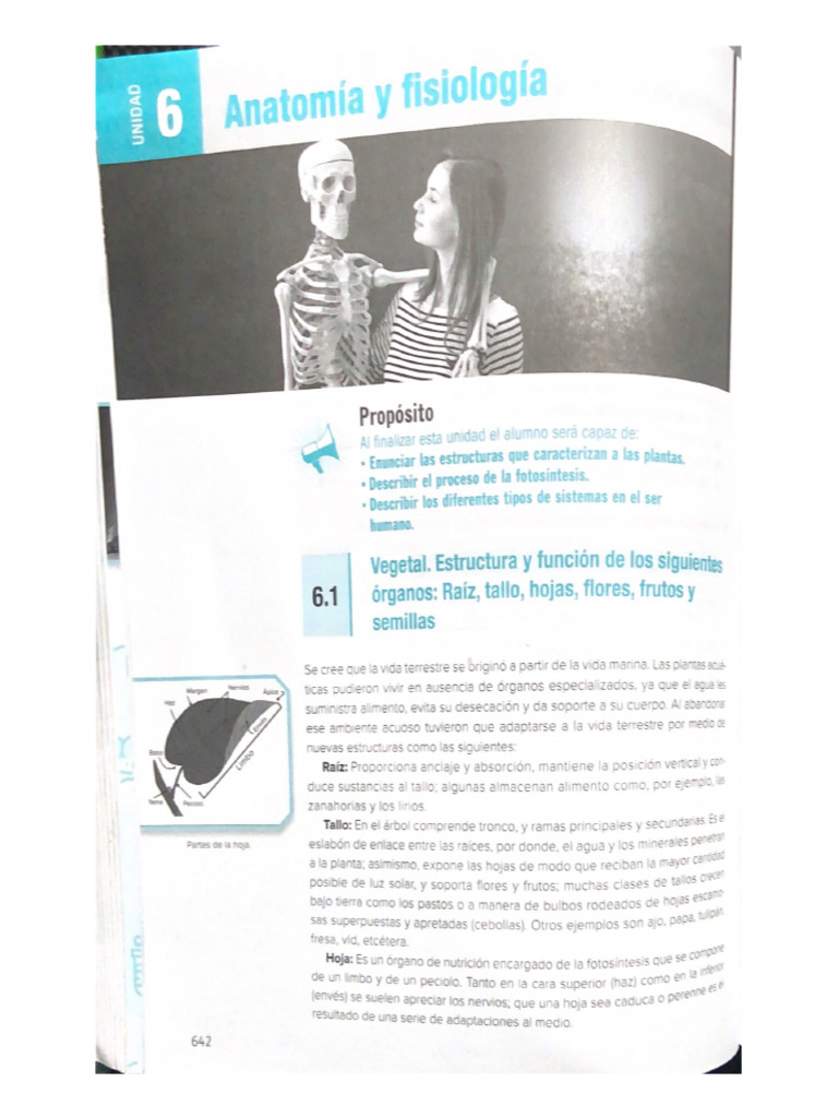 Anatomía Y Fisiología Pdf