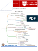 MAPA CONCEITUAL