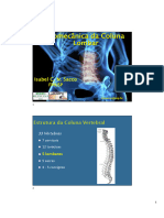 Biomecanica Coluna Lombar 2020 PDF