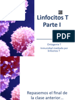Linfocitos T 2022 Con Audio Parte 1