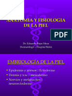 2.ANATOMIA Y FISIOLOGIA DE LA PIEL (TEMA 2) .Pps
