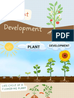 Plant development 