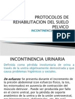 Protocolos de Rehabilitacion de Suelo Pelvico