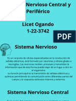 Copia de Sistema Nervioso Central y Periférico