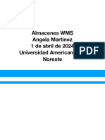 Analisis Almacenes WMS