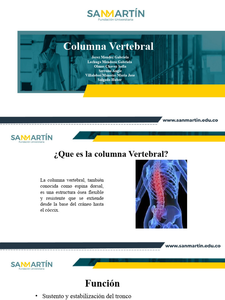 Anatomía y Funciones de la Columna Vertebral | PDF | La columna ...