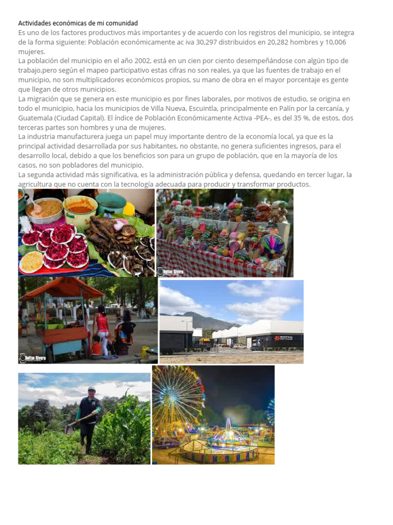 Actividades Económicas en Mi Comunidad | PDF