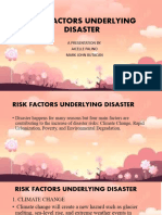 Risk Factors Underlying Disaster