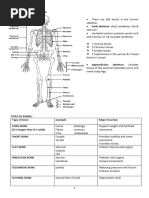 PDHPE 2020 YR 11 NOTES MMMM