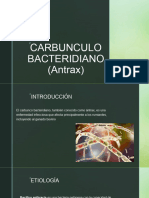 Carbunculo Bacteridiano (2) Brayan Edu