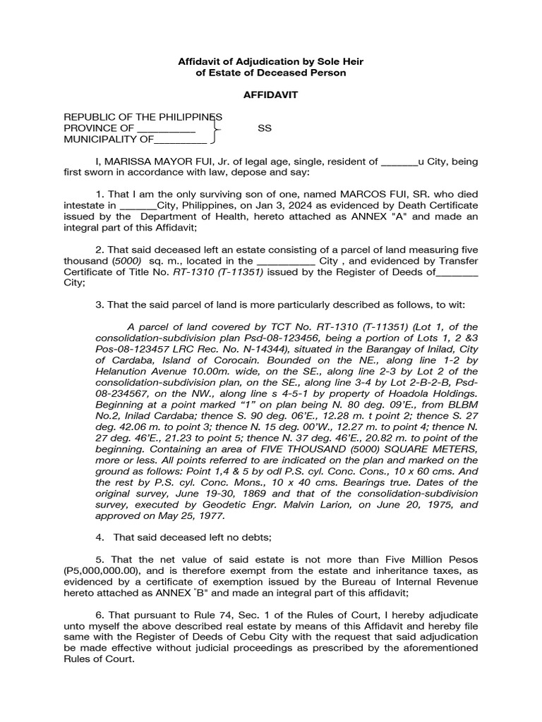Affidavit of Adjudication by Sole Heir PDF Private Law Common Law