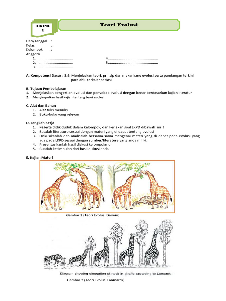 Teori dan Penyebab Evolusi dalam LKPD | PDF