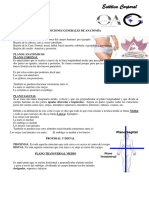 Anatomia Corporal Mat Apoyo