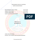 INFORME BIOLOGÍA-1