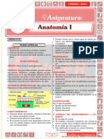 G01 Letras VER 2024 - 110516