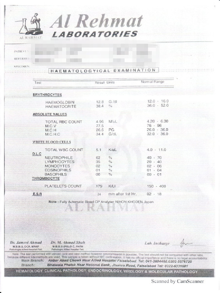 Blood Test Report Example PDF | PDF