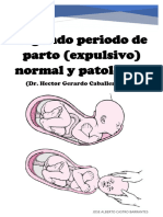 (11) Segundo periodo de parto (expulsivo) normal y patológico - Dr. Hector Gerardo Vera_unlocked