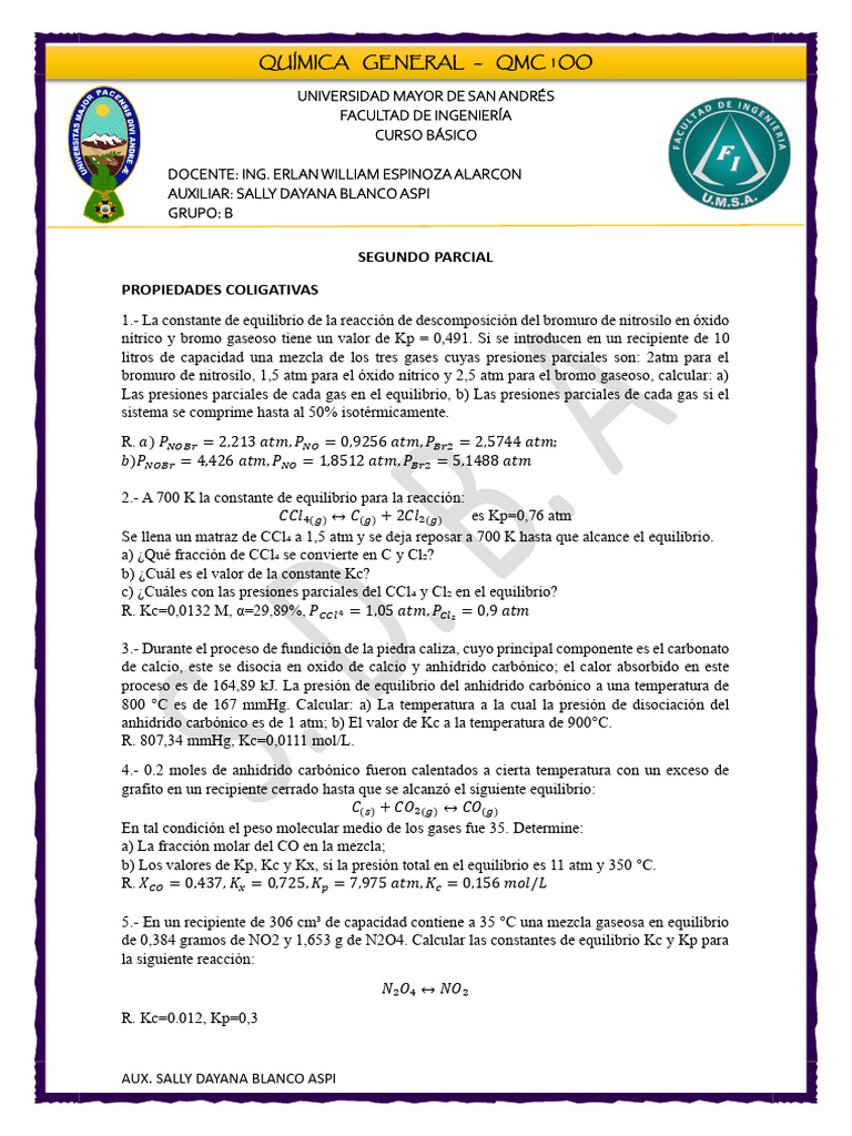 Práctica 2P | PDF | Gases | Dióxido de carbono