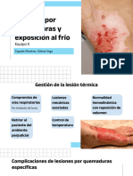 Lesiones por quemaduras y exposición al frío - Eq 5