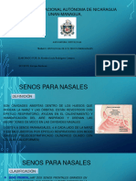 Presentación2 HISTOLOGIA DE LOS SENOS PARANASALES 27-04-2022