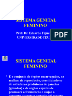 Sistema Genital Feminino