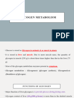 Glycogen Metabolism.