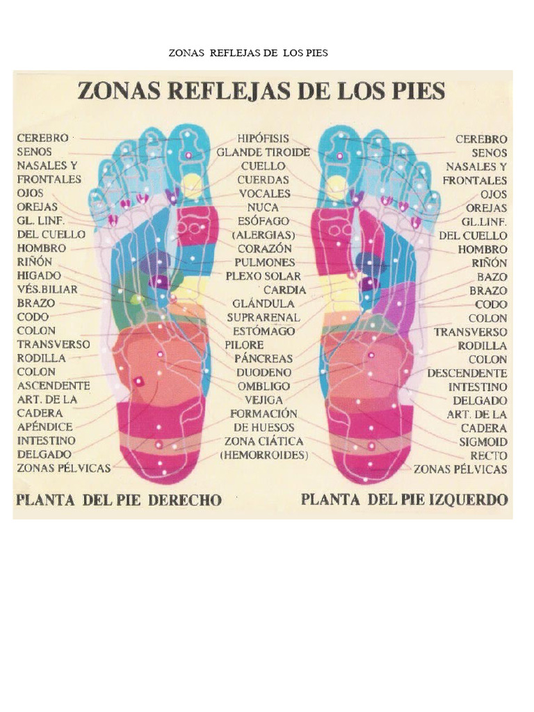 ZONAS REFLEJAS DE LOS PIES | PDF