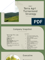MC - Assignment2 - Terra Agri Turnaround Strategy
