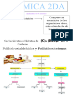 Hidratos de Carbono (Primera y 2da Parte)