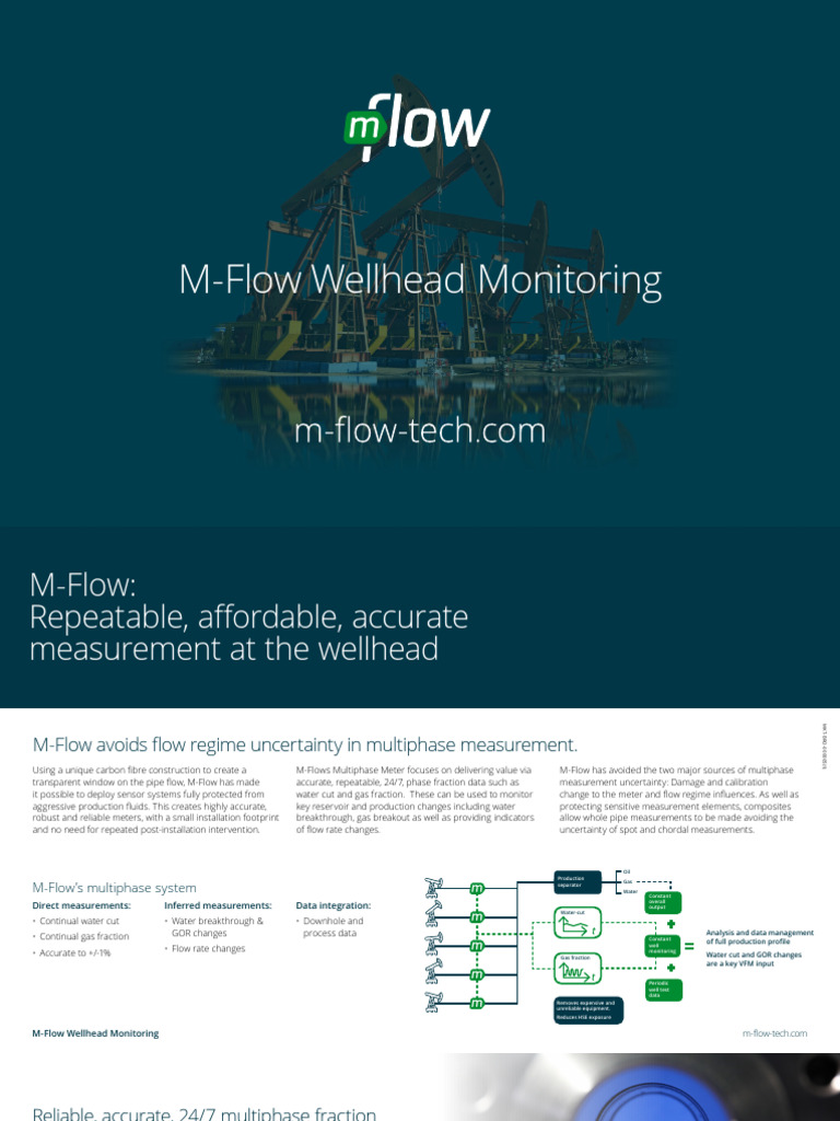 282 M Flow Multiphase Screen1280px - 5 | PDF | Flow Measurement | Density