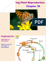 Reproduction in Flowering