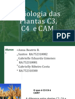 Slides Plantas C3,C4 e CAM