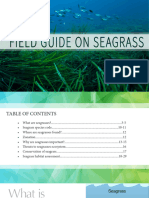 .Trashed 1714991186 Field Guide on Seagrass