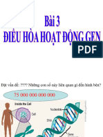 Bai 3 Dieu Hoa Hoat Dong Gen