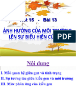 Bai 13 Anh Huong Cua Moi Truong Len Su Bieu Hien Cua Gen