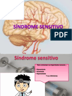 Exposicion Sindrome Sensitivo
