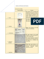 Cell Structure and Functions