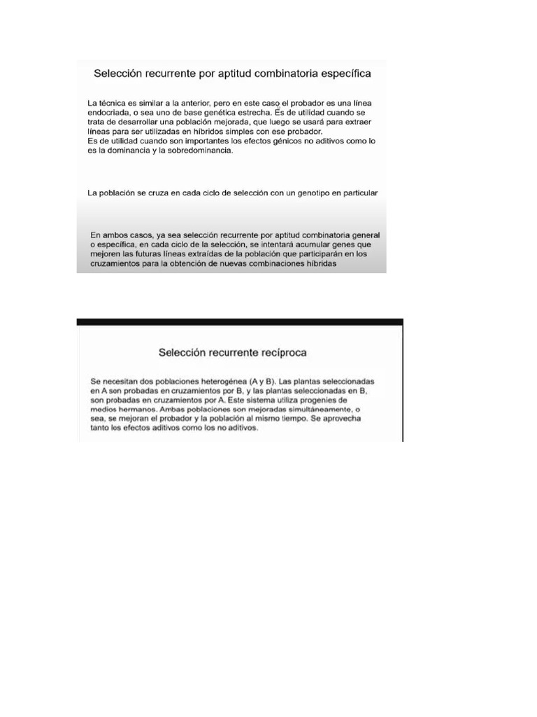 Seleccion Recurrente | PDF
