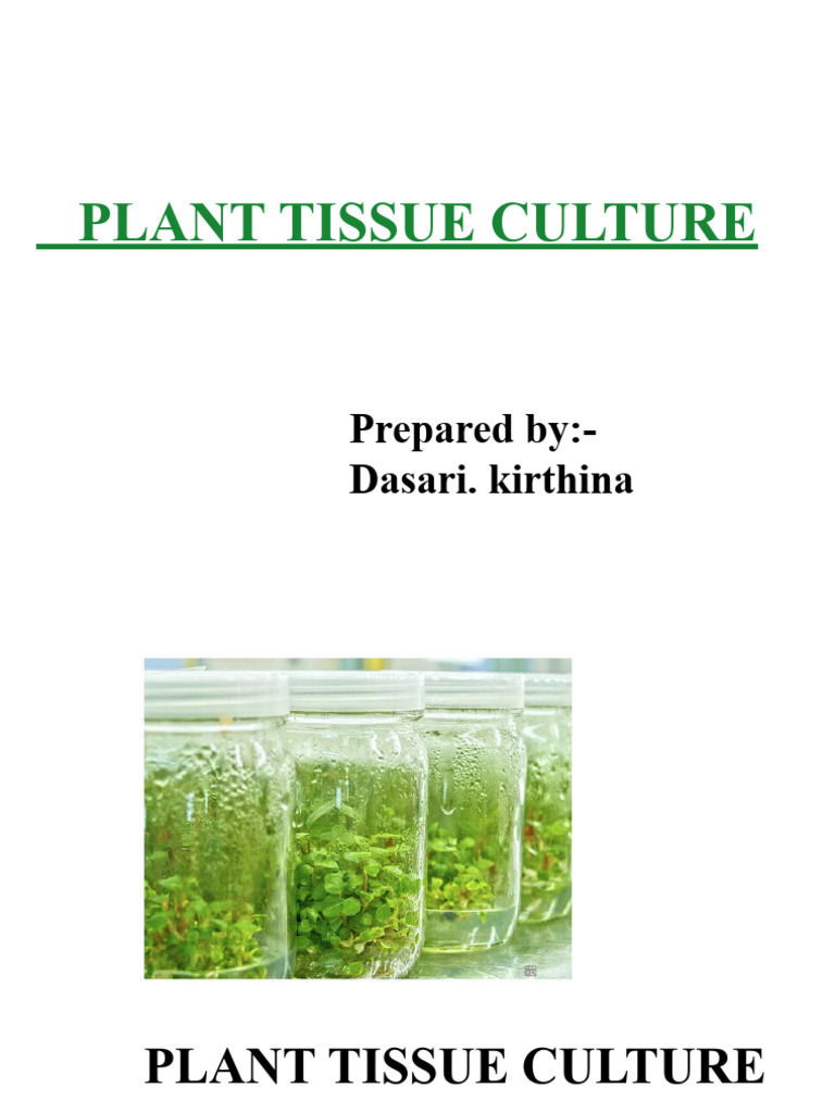 Plant Tissue Culture Techniques Explained | PDF | Plant Hormone ...