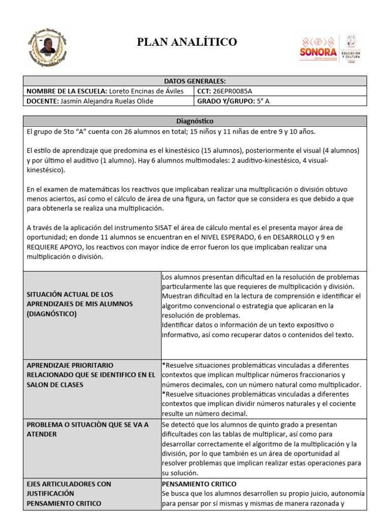 Plan Analitico | PDF | Pensamiento | Pensamiento crítico