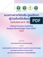 Final Dengue CPG 2023