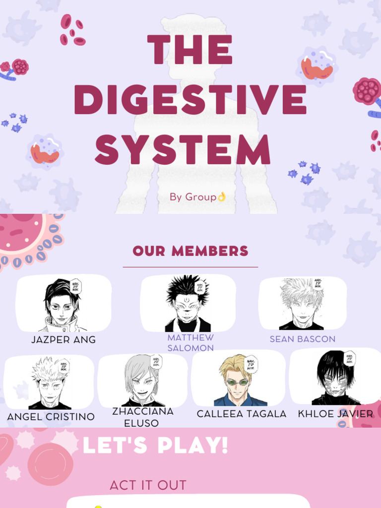 The Digestive System | PDF | Human Digestive System | Digestion