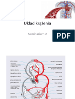 Fizjologia Układ Krążenia 2 - 2023 - 24