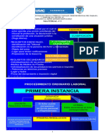 Primeras Etapas Del Juicio Ordinario Laboral en Diapositivas Impresas