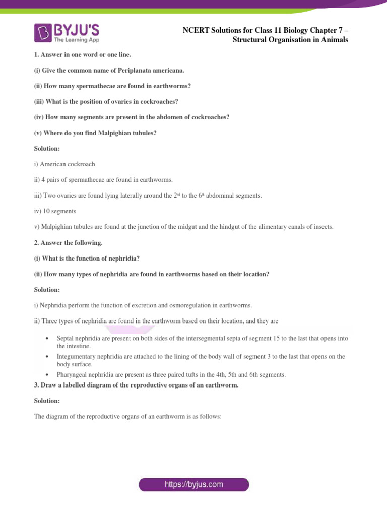 NCERT Class 11 Biology Chapter 7 Solutions | PDF | Epithelium ...